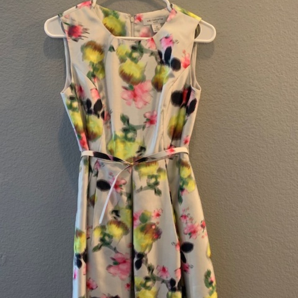 Liz Claiborne Watercolor Floral dress sz 4P